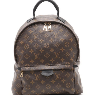 Louis Vuitton Palm Springs Backpack Mini Monogram Backpack Backpack Pvc Leather Brown